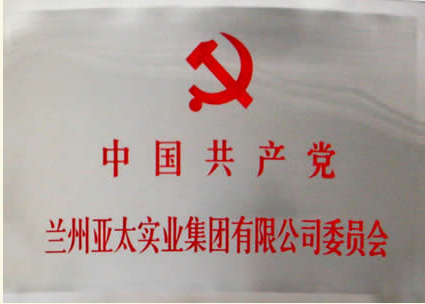 兰州pp电子实业集团有限公司成立党委会专题