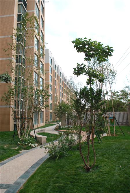 pp电子嘉园二期局部景观雏形鉴赏（亲景实拍）