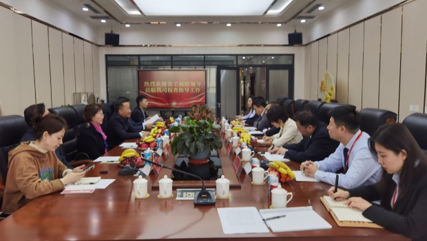 甘肃省委统战部副部长、省工商联党组书记苟天宏一行莅临兰州pp电子集团检查指导工作